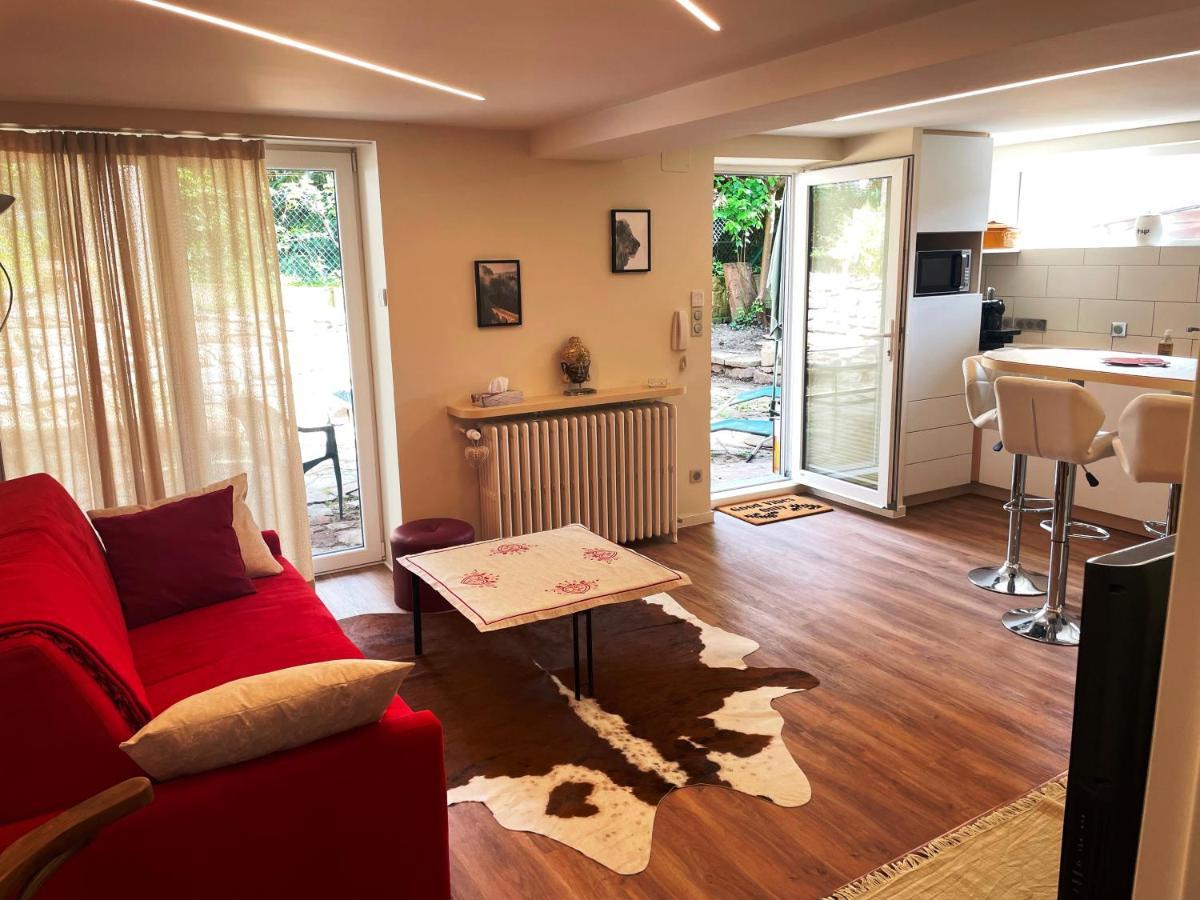 Appartement 2 Pièces 45m2 Rez-de-jardin-terrasse Strasbourg